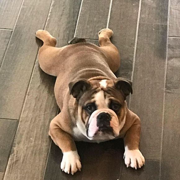 Meet your Posher, Michael - Picture 1 of 1